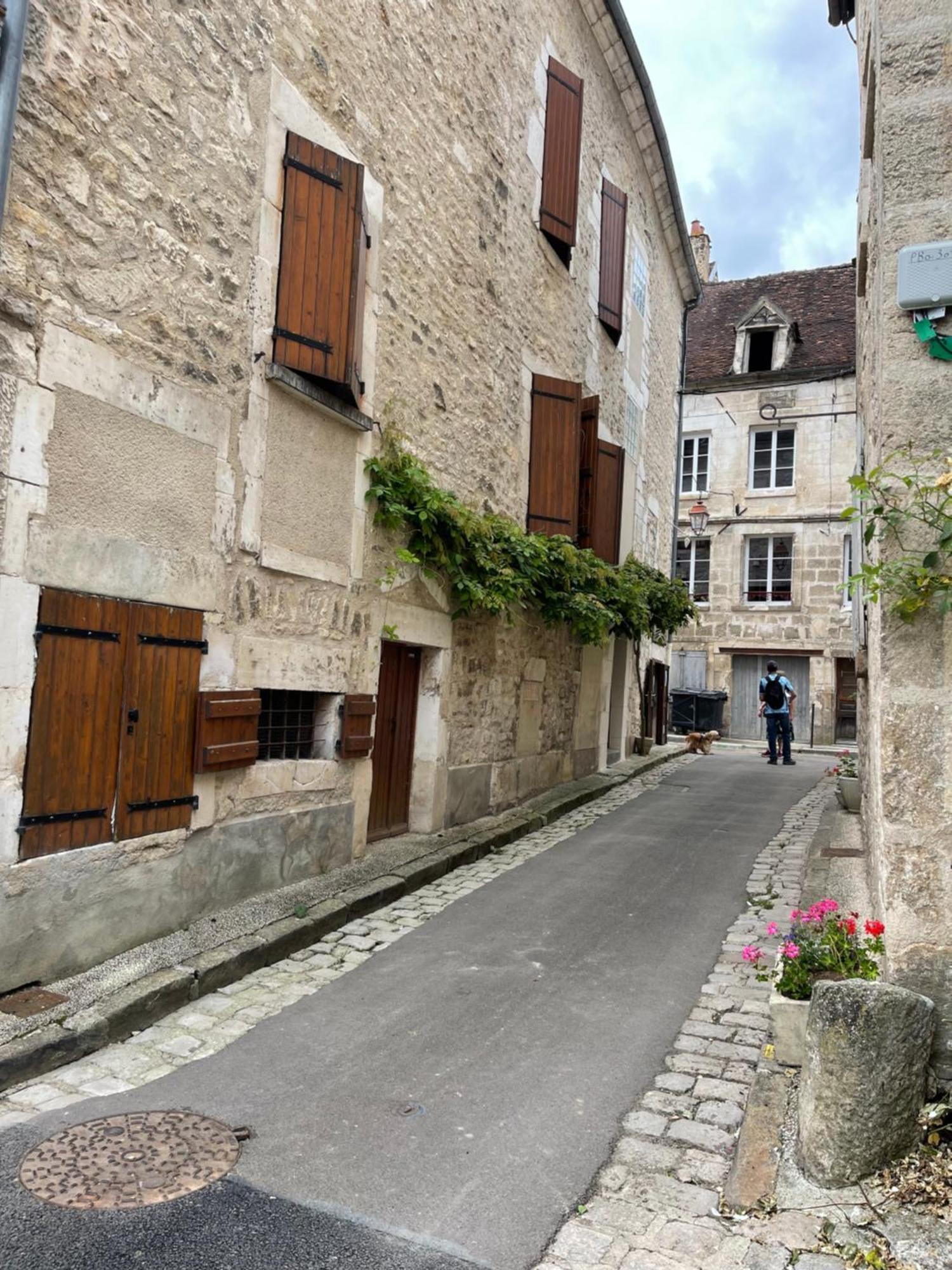 La Maison D'Alienor - Gites De Caractere A Chablis - 89 Exterior foto